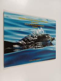 Momentos de Whale Watching Açores - Whale Watching Moments Azores