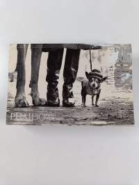 Dogdogs