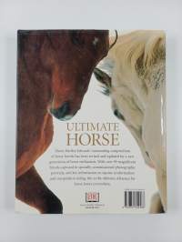 Ultimate Horse