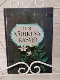 Uusi värikuvakasvio