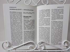 Uusi värikuvakasvio
