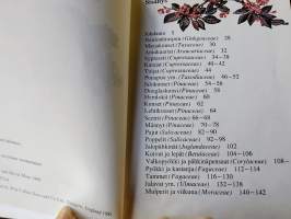 Puut - taskupokkari