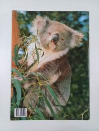 Australian&#039;s koala