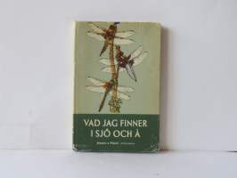 Vad jag finner i sjö ock å
