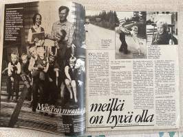 Kotiliesi 1981 nr 21, Pelkosenniemen Suvannon kylä, hyvä maljakko, kaava-arkki