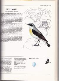 Koko perheen suuri lintukirja, 1991. 4.p.