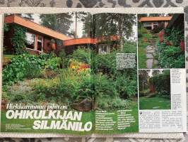 Kotiliesi 1983 nr 8, Juha Ruutsalo, Hiekkarannan piha (Keuruu), eduskuntaan tuli