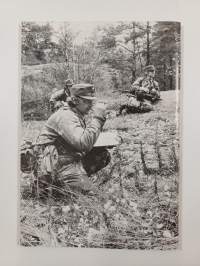 Puolustusvoimien toiminta vuonna 1983