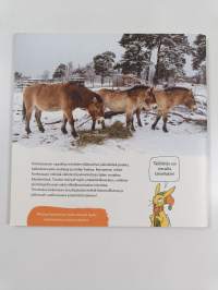 Korkeasaari : opaskirja