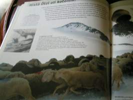 Ötzi, Alppien jäämies : ainutlaatuinen löytö yli 5000 vuoden takaa (UUDENVEROINEN)