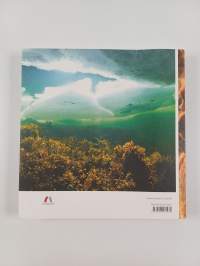 Lost at sea, rediscovered