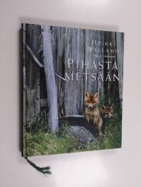 Pihasta metsään