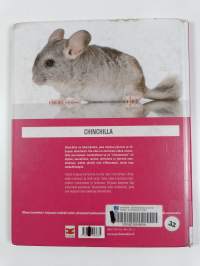 Chinchilla