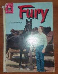 Fury ja salametsästäjät