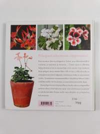 Ihanat pelargonit
