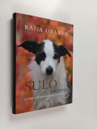 Sulo tuli taloon ja muita käänteentekeviä kertomuksia (ERINOMAINEN)