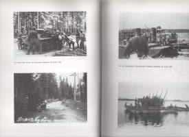 2. Divisioonan Jalkaväkirykmentti 49 sodassa vv. 1941-44