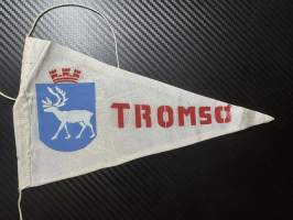 Tromsö -matkailuviiri, isokoko / souvenier pennant