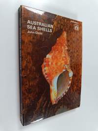 Australian Sea Shells