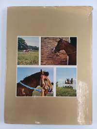 The Golden Pony Book
