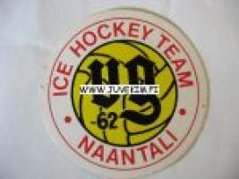 vg-Ice Hockey Team Naantali -tarra