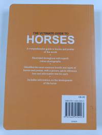 The Ultimate Guide to Horses