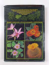 Flowers at your window