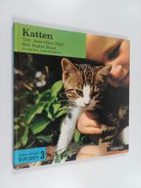 Katten