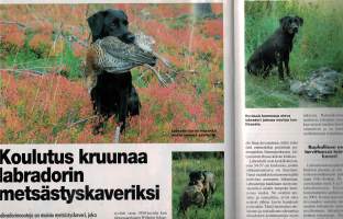 Ase&amp; Erä 5 / 2006, Monipuolisia ohjeita ja kuvia eseista ja kiikareista. Monenlaisia ohjeita ja kannanottoja Sivuja 92-