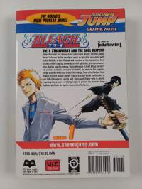 Bleach 1
