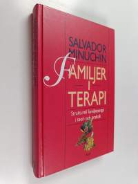 Familjer i terapi : strukturell familjeterapi i teori och praktik
