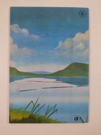 Irish lakes