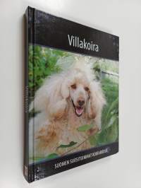 Villakoira