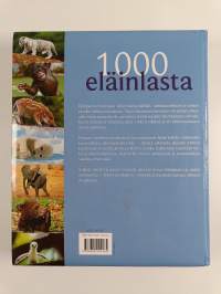 1000 eläinlasta