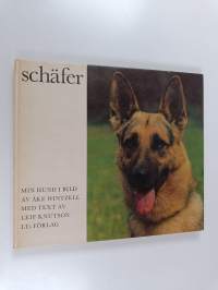 Schäfer : min hund i bild