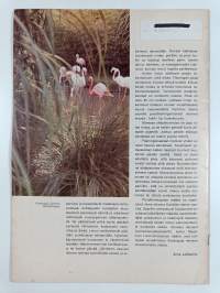 Fauna 40/1972
