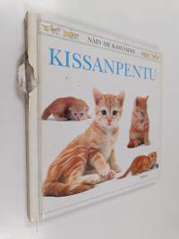 Kissanpentu