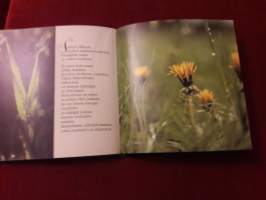 Anna minulle silmät nähdä./JorkZink   P.1986, 5-painos