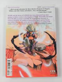 Record of Lodoss War Chronicles of the Heroic Knight 3