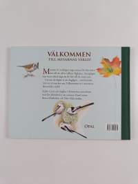 Stora mesboken