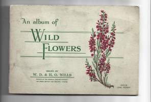 W. D. &amp;. H. O. Willsin (Imperial Tobacco Company)albumi Wild Flowersista / luonnonkukat - keräily tupakkakuva - täysi kansio yht 52 kuvaa 1930-luku