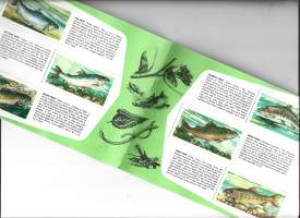 Freshwater Fish / Brooke Bonde -albumi makean veden kalat  teekuvakorttialbumi täysi yht 50 kuvaa - keräilykuva