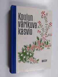Koulun värikuvakasvio