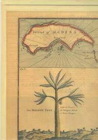 Madeira-Tourist Journal 1989. Mukana Madeiran kartta sekä rannikko pala Funchalista. 16 sivua trooppisista hedelmistä, kukkien tarinaa . käsitöistä hunajaan jne.