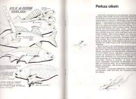 Hyvää kalasta