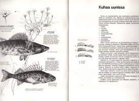 Hyvää kalasta