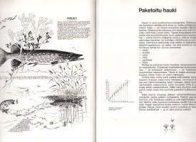 Hyvää kalasta