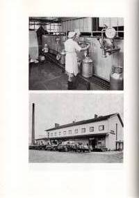 Tyrvään Osuusmeijeri. Vammala 1913-1963