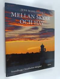 Mellan skyar och hav - strandhugg i Stockholms skärgård