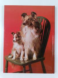 The world of dogs